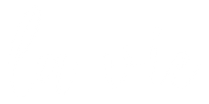 Payload Logo